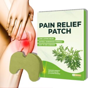 Wellnee Pain Relief Patches